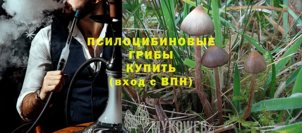 прущие крисы Арсеньев