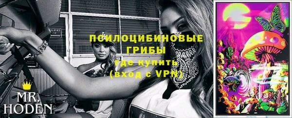 прущие крисы Арсеньев