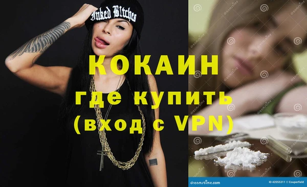 сатива Балахна