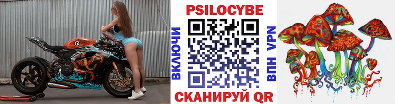 сколько стоит  Саратов  Галлюциногенные грибы Magic Shrooms 