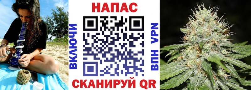 Бошки Шишки конопля  купить   Саратов 
